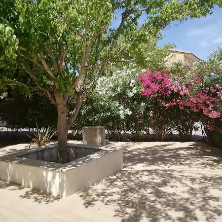 Sur Travo , Solenzara * Vaccili