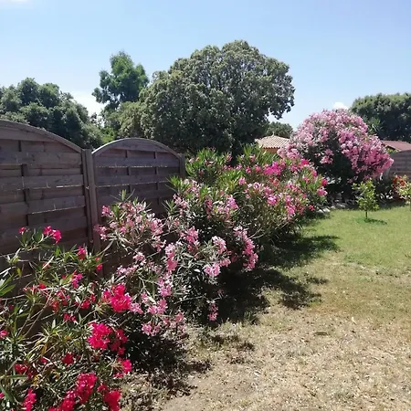 Sur Travo , Solenzara *