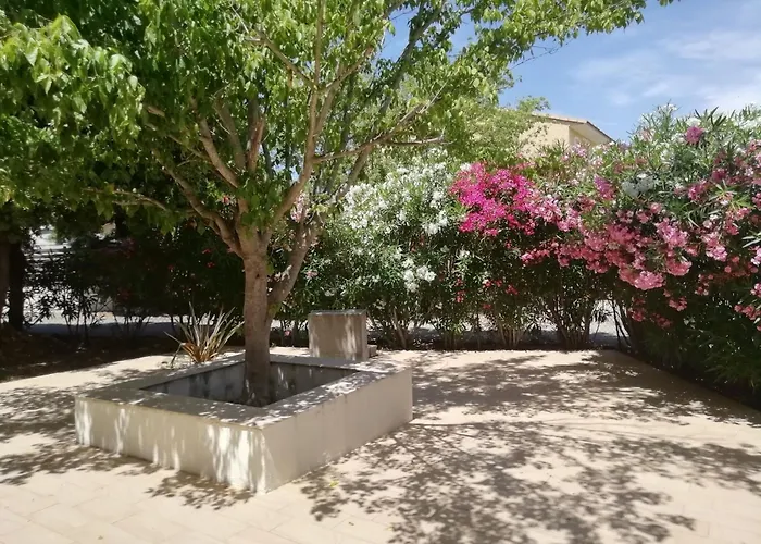 Sur Travo , Solenzara * Vaccili