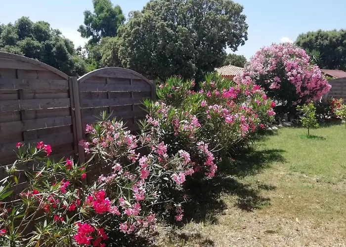 Sur Travo , Solenzara *